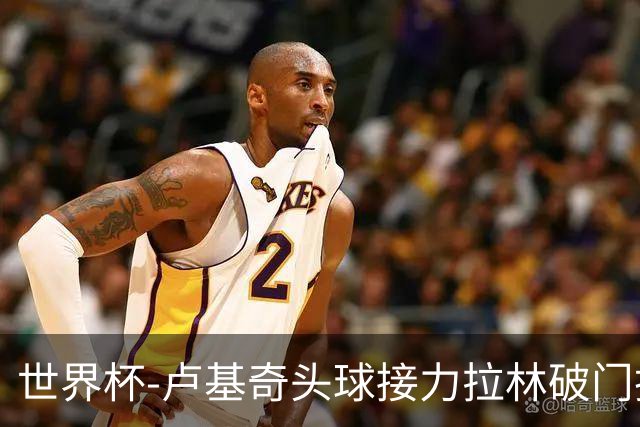 世界杯-卢基奇头球接力拉林破门扳平 加拿大1-1波黑